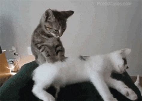 massage gif lustig|Funny Massage GIFs